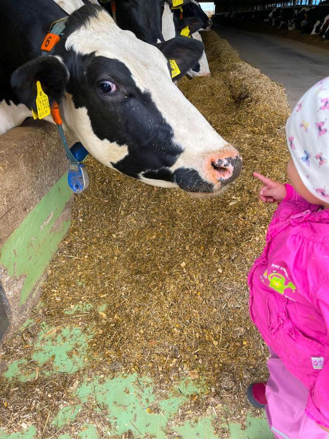 Ferienwohnung Apolo Münstermaifeld Zewnętrze zdjęcie